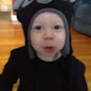 Meet your Posher, Lewis